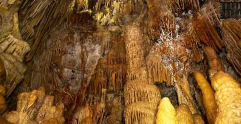 Altamura, tra "cattedrali" e "polpi" la discesa nella magnifica Grotta Torre di Lesco